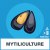 Mussel farming e-mail address database