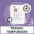 Agences de travail temporaire interim