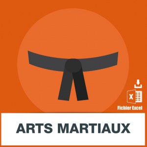 E-mails des arts martiaux